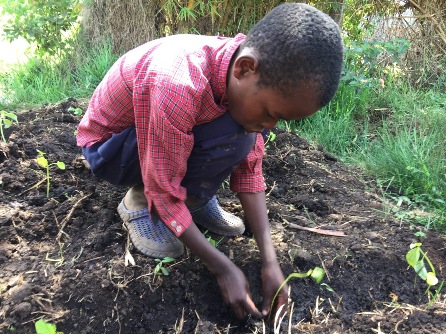 A young boy is digging in the dirt.