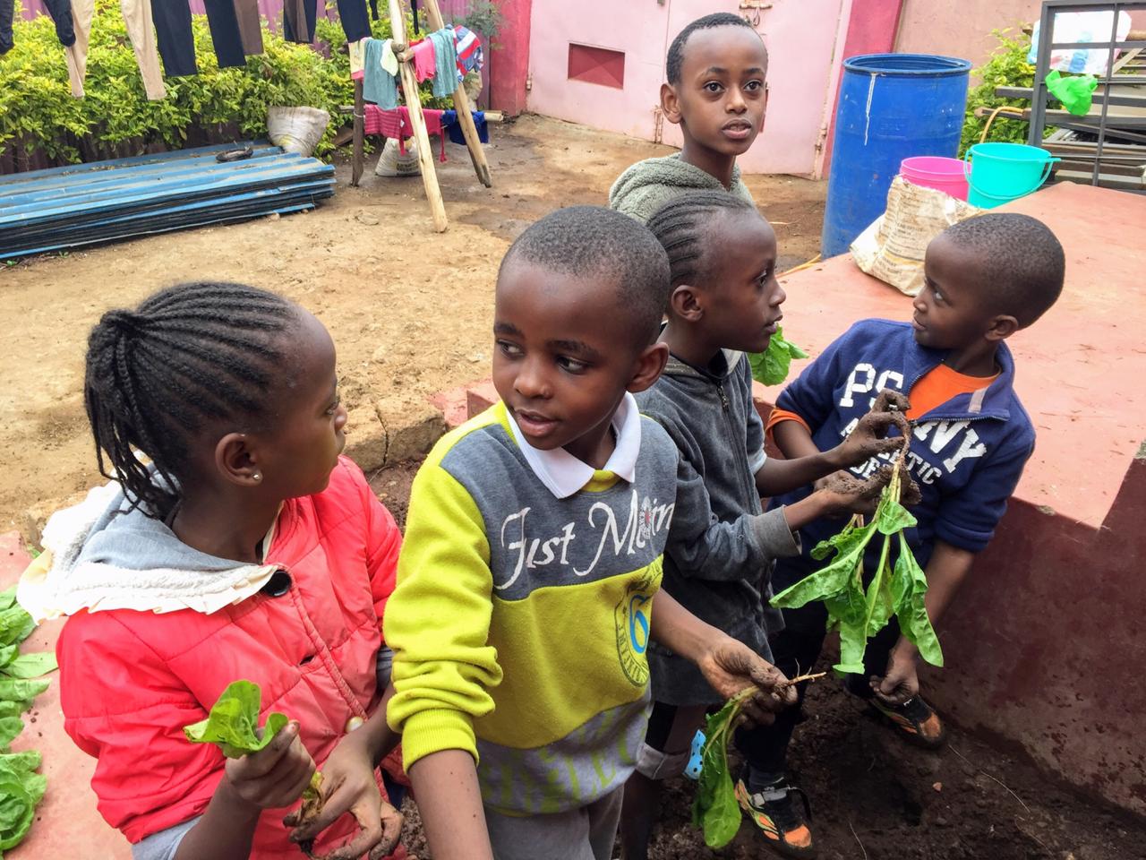 A group of children holding plants in their hands.