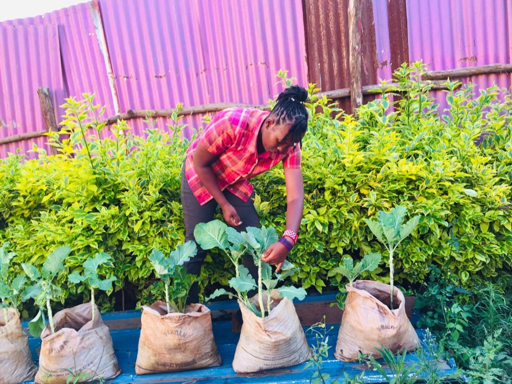 A woman is tending to plants in bags.